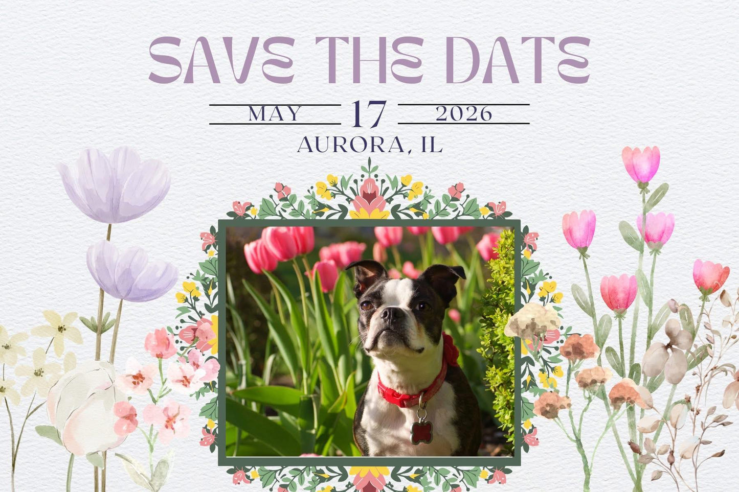Boston Terrier Meet-up VENDOR Registration