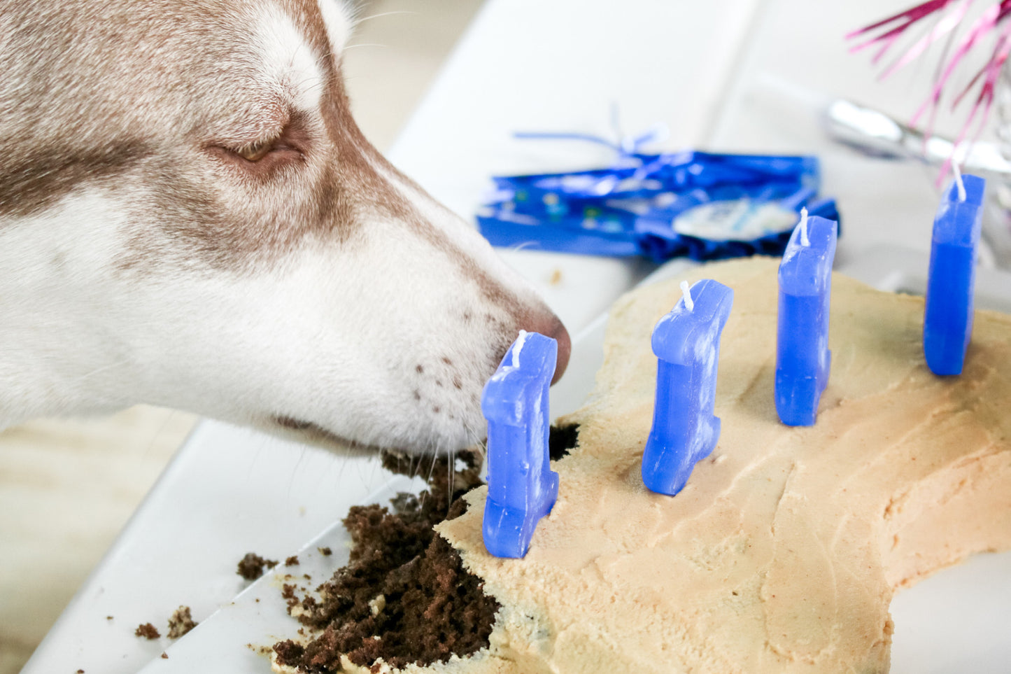 Dog Bone Cake Pan Silicone