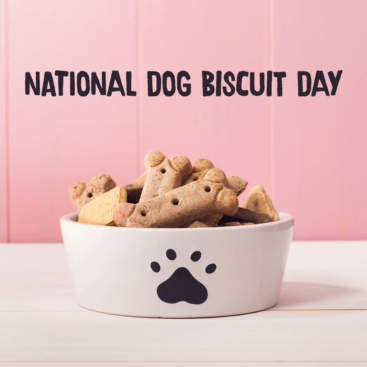 Free Recipe for National Dog Biscuit Day