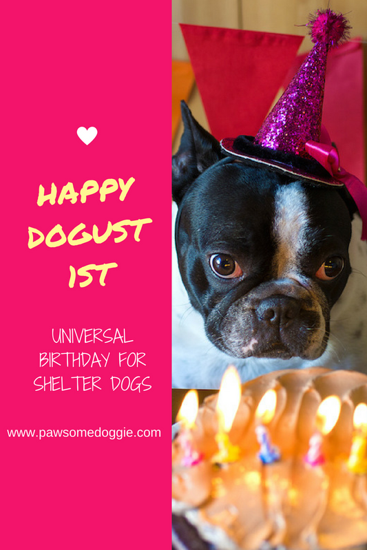 How to Celebrate Dogust 1st the Universal Day for Rescue Dog Birthdays