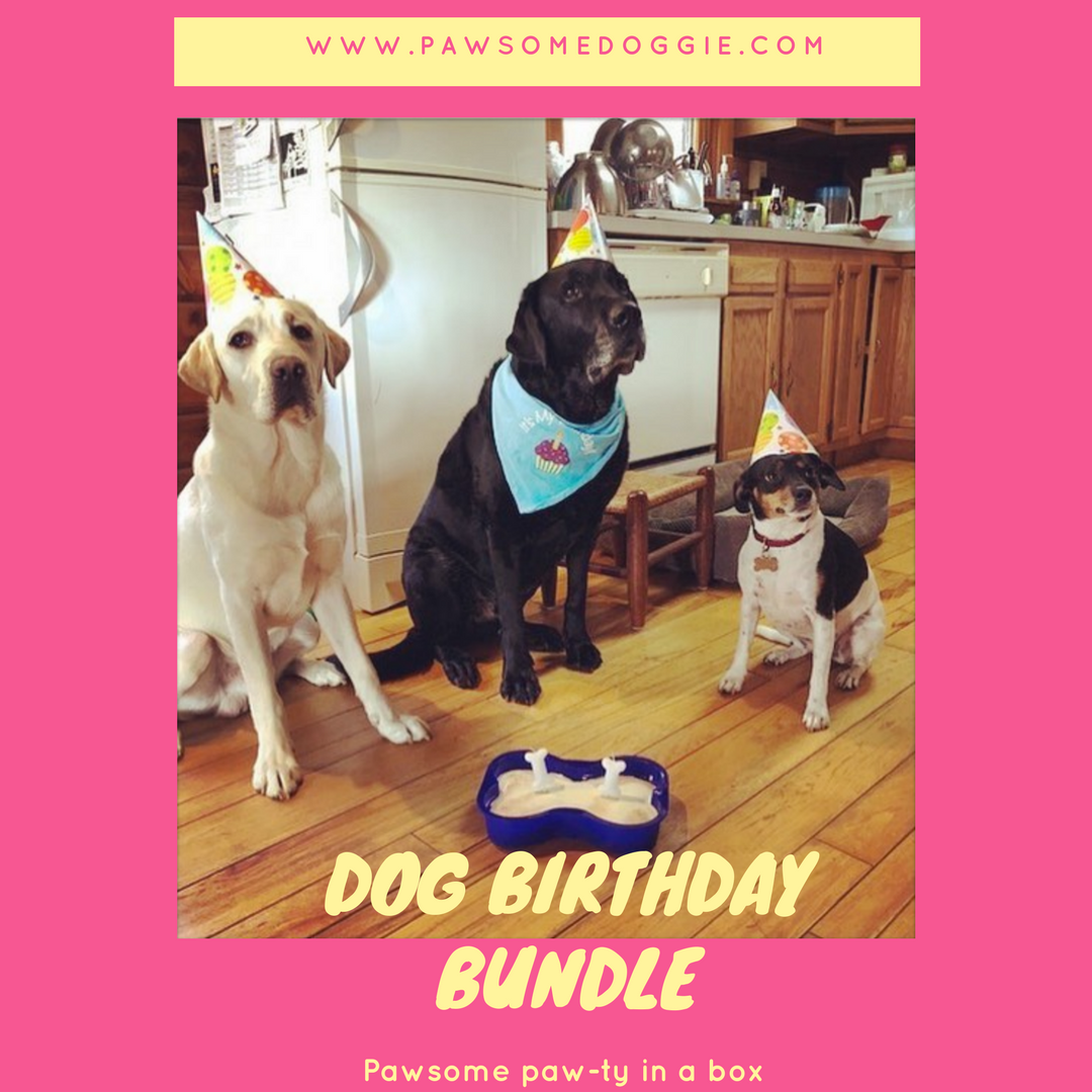 How To Customize Your Dog Bday Cake
