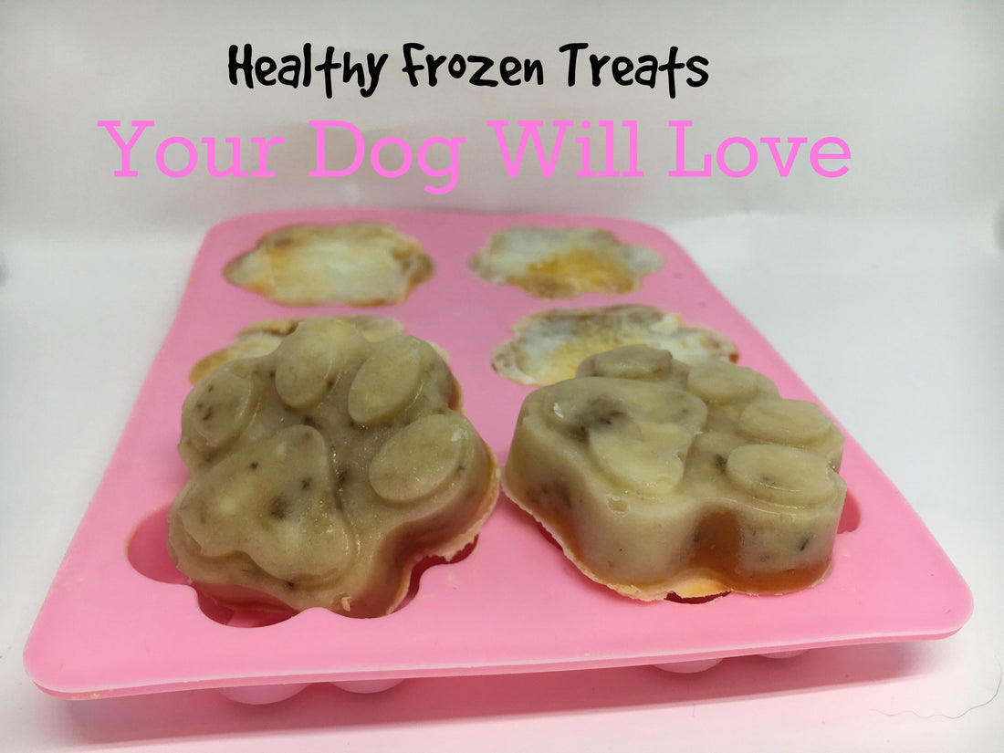 New Year's Resolution for Your Pet