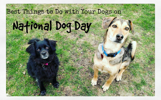 National Dog Day Celebration