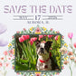 Bostons in Bloom - Boston Terrier Meet-up Registration