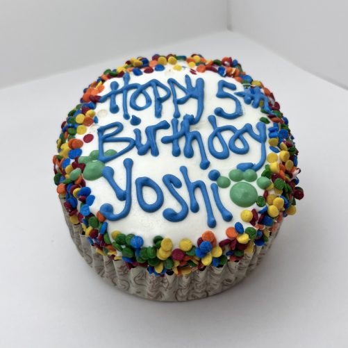 4" Jumbo Cupcake for Dogs