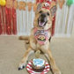 4" Jumbo Cupcake for Dogs