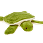 Fluff & Tuff Esmeralda Turtle