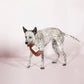 Yappy Hour IPA Dog Toy