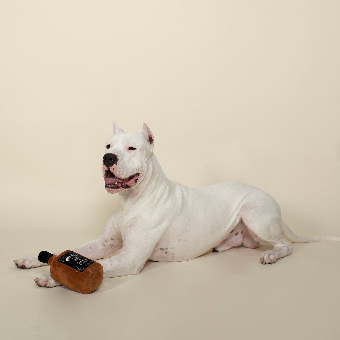 Yappy Hour Wet Nose Whiskey Dog Toy